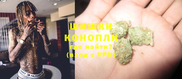 стаф Няндома