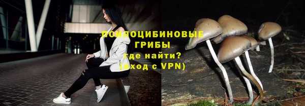 первитин Нягань