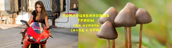 mdpv Нязепетровск