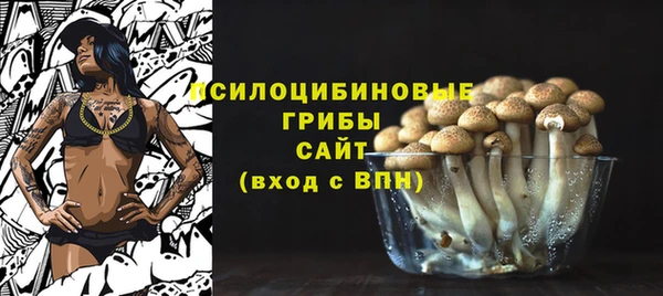 PSILOCYBIN Вяземский