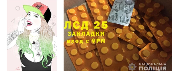 ГАЛЛЮЦИНОГЕННЫЕ ГРИБЫ Валуйки