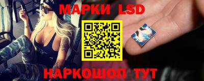 mdma Аргун