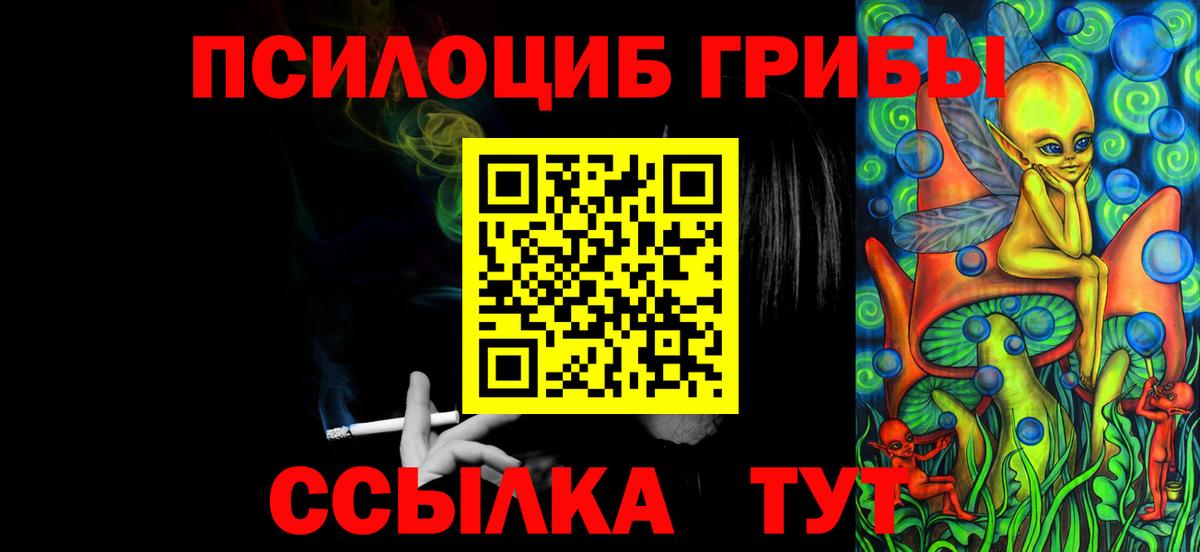 Галлюциногенные грибы Psilocybine cubensis Белогорск