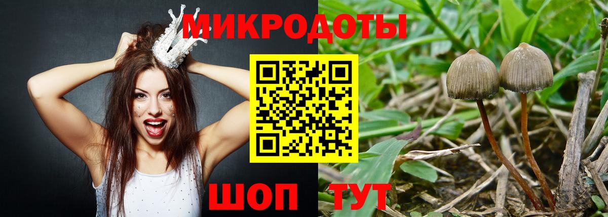 Псилоцибиновые грибы MAGIC MUSHROOMS  Вход с VPN  Белогорск  Галлюциногенные грибы ЛСД 