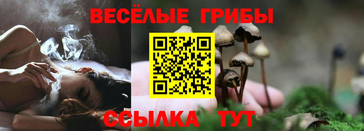Галлюциногенные грибы прущие грибы Белогорск