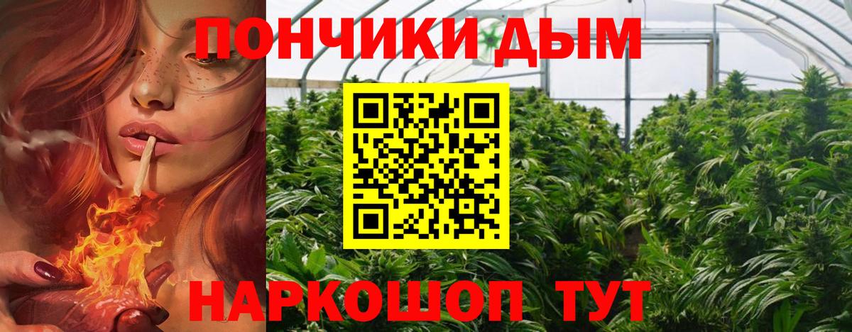 Конопля тримм  Белогорск  Марихуана Amnesia 